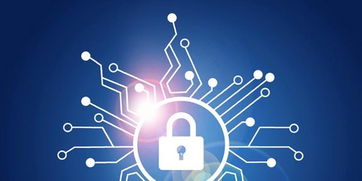 這個(gè)夏天，守護(hù)數(shù)字世界的六個(gè)安全小建議 | 聚焦網(wǎng)絡(luò)與信息安全軟件開(kāi)發(fā)