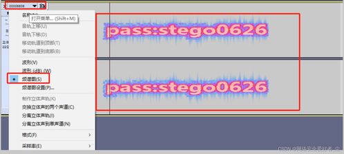 CTF 2023一帶一路金磚國(guó)家技能發(fā)展與技術(shù)創(chuàng)新大賽網(wǎng)絡(luò)安全在企業(yè)信息管理中的應(yīng)用賽項(xiàng)線下總決賽 Misc1 題解WP